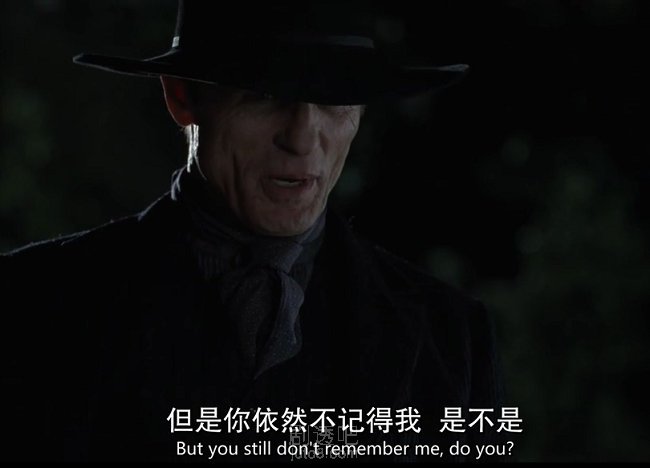 西部世界神秘黑衣人