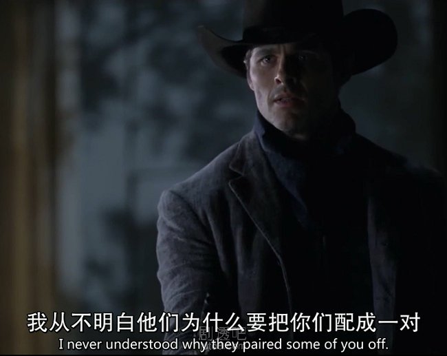 绝望的泰迪