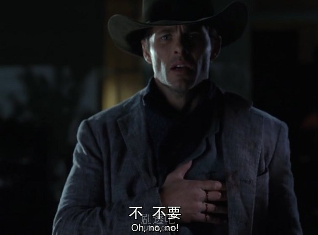 泰迪最后被黑衣人杀害